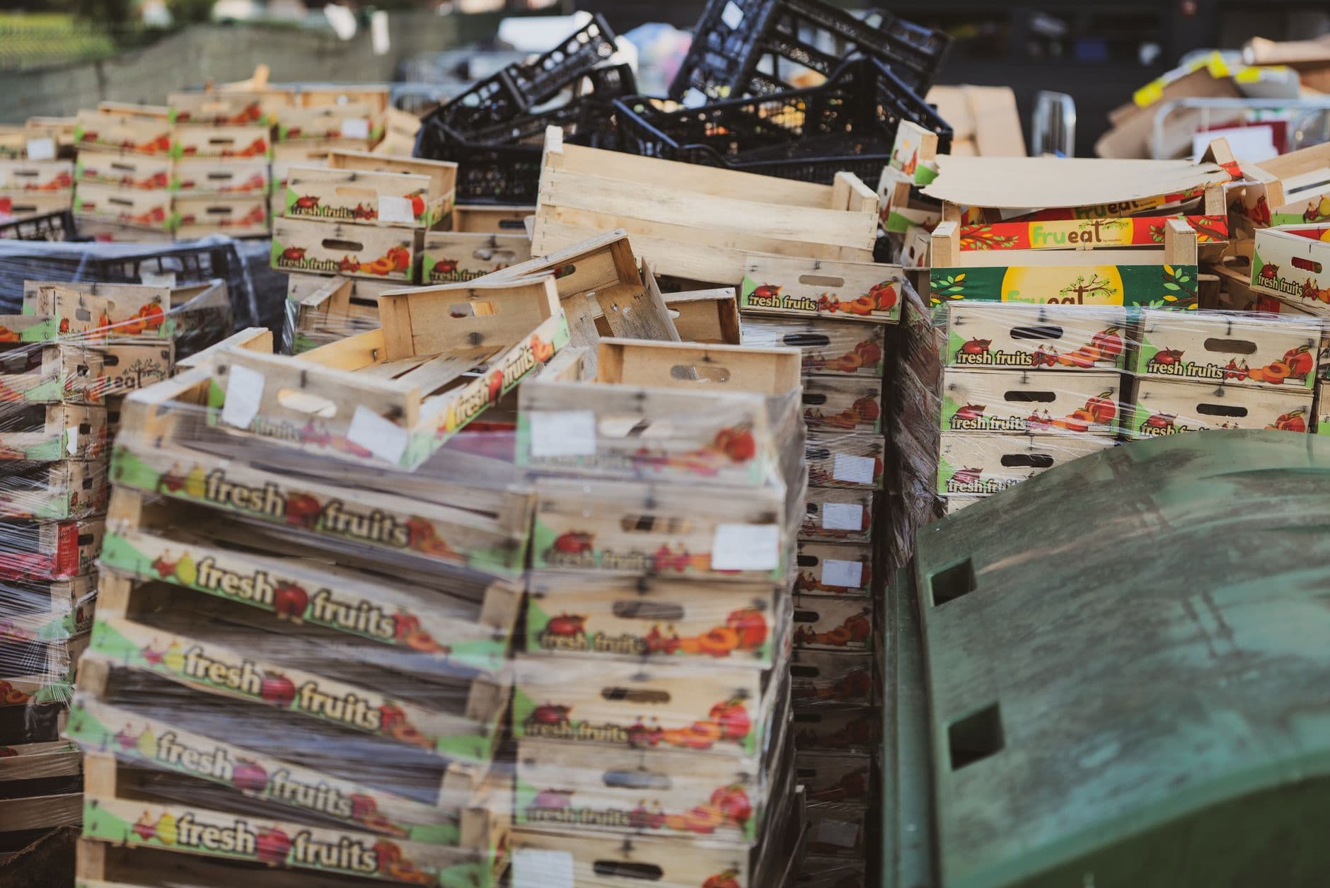 1.300 millones de toneladas de alimentos se pierden al año en el Planeta