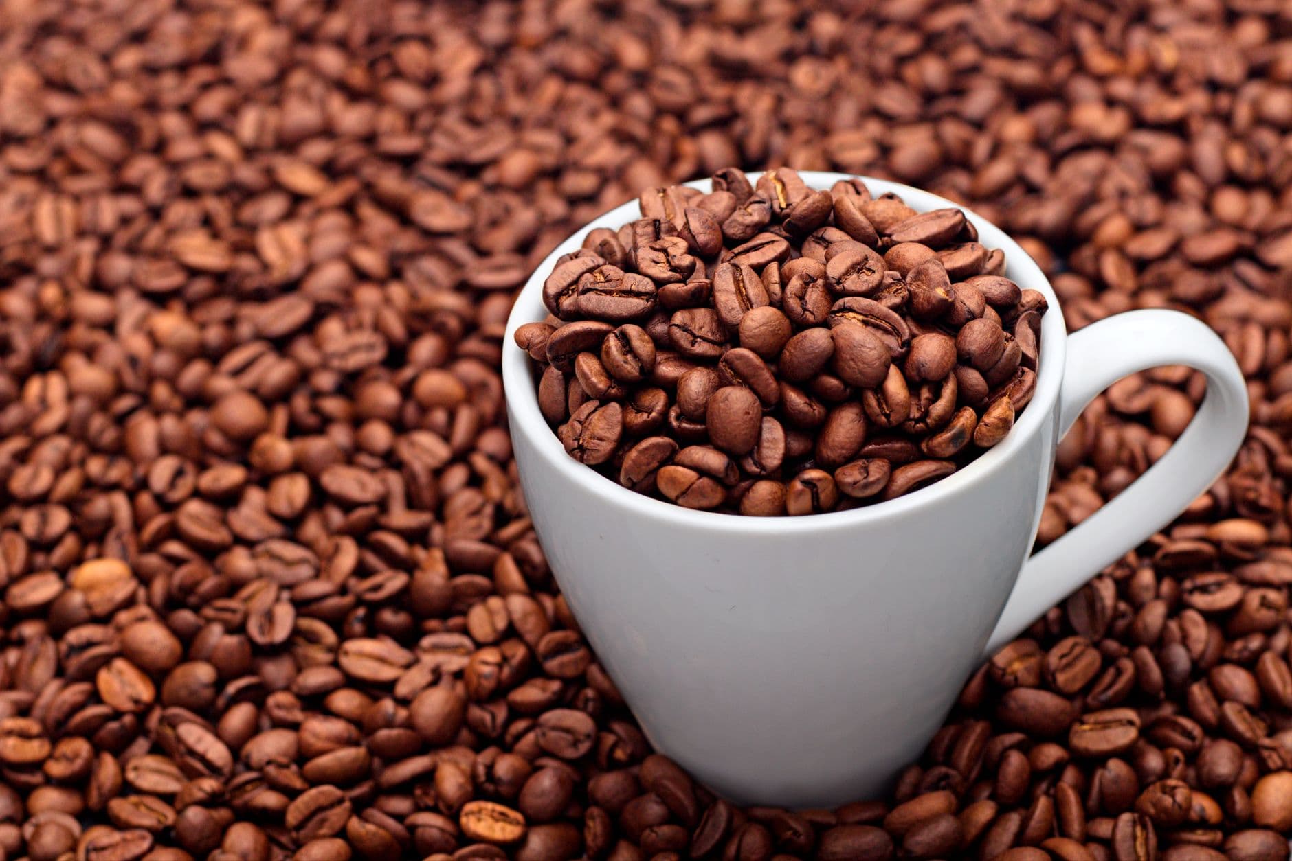 Beneficios y propiedades del café sobre nuestra salud