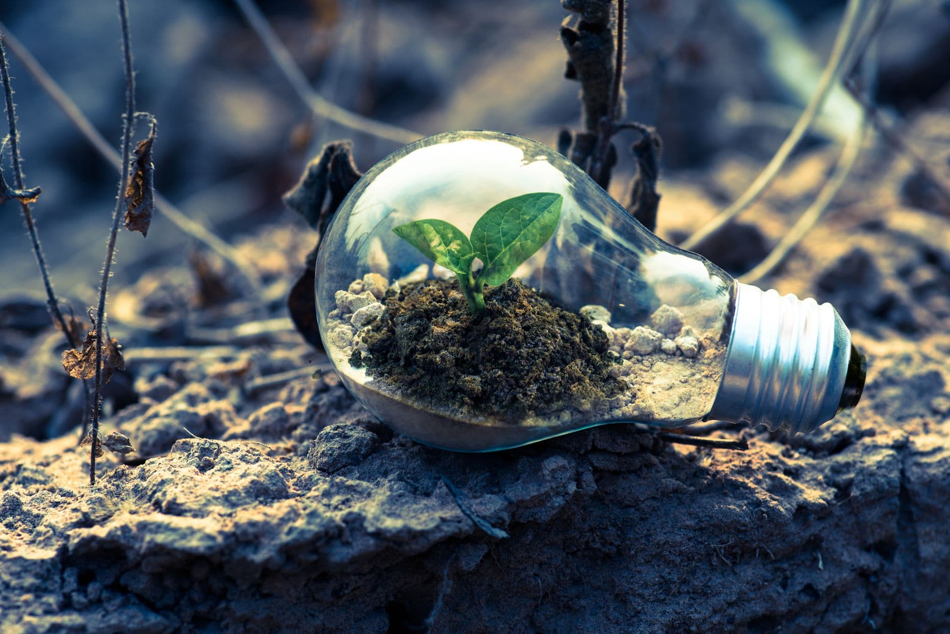 Conoce la tecnología verde que nos hace únicos