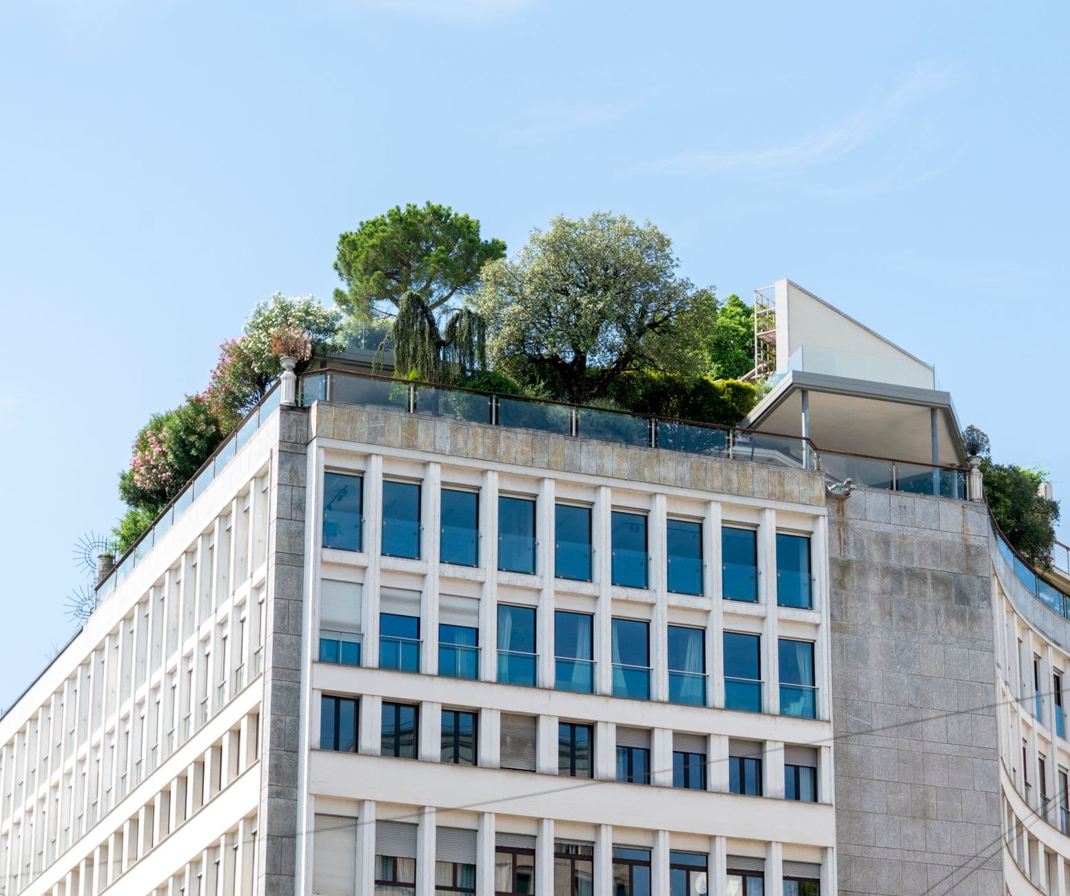 Ser eco-friendly es mucho más que una tendencia