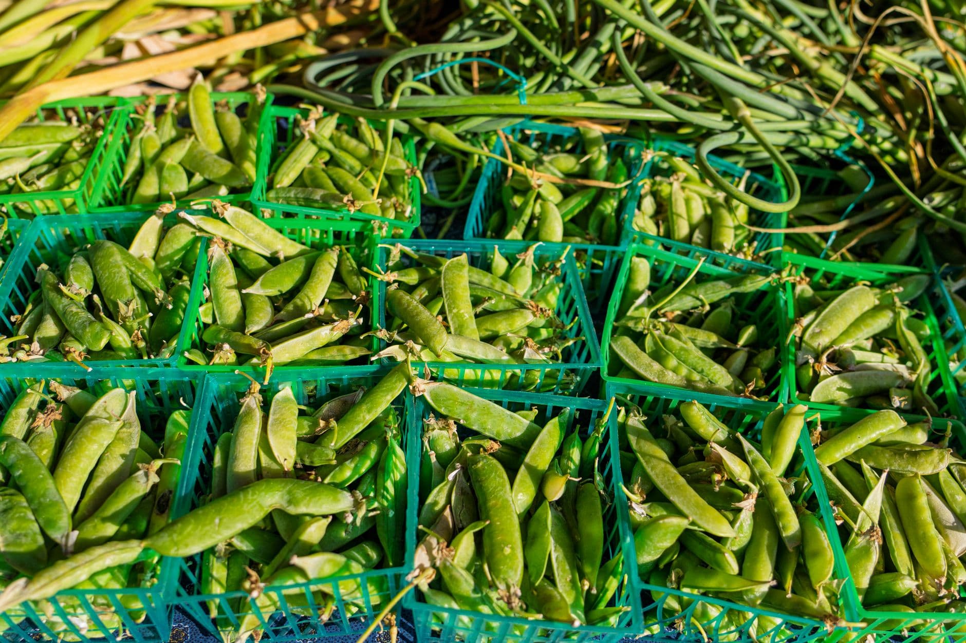 Verduras y legumbres son nuestros mejores aliados para reutilizar
